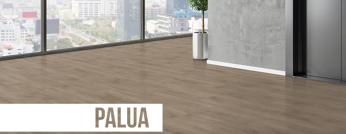 Palua Header