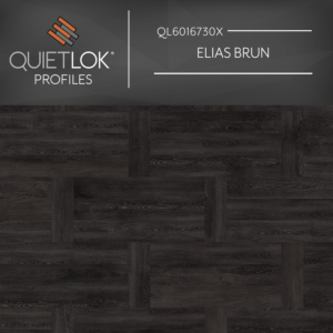 QuietLok Profiles - Elias Brun
