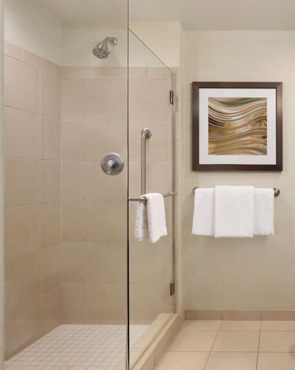 Swing Shower Door